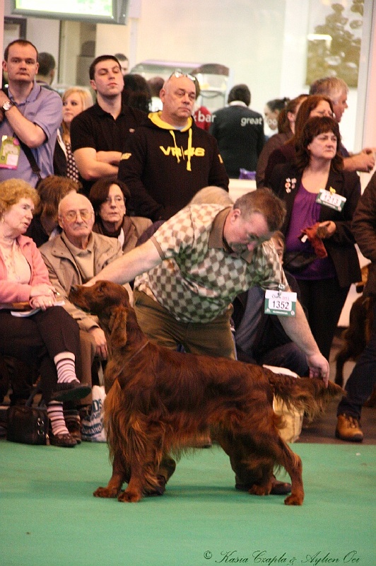 Crufts2011_2 081.jpg